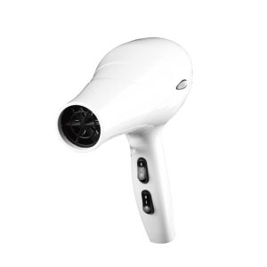 Shernbao Handheld Dryer 3000A