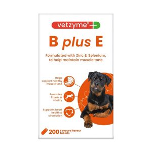 Vetzyme B Plus E (200-Tablets)