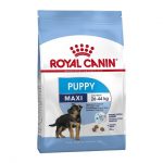 Royal Canin Maxi Puppy