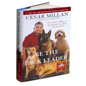 Be the Pack Leader: Use Cesar's Way to Transform Your Dog . . . and Your Life