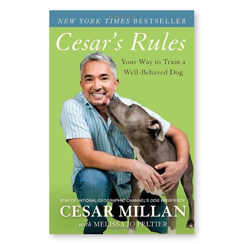 Cesar's Rules: Your Way to Train a Well-Behaved Dog