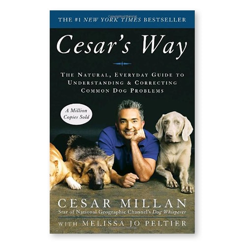 Cesar's Way: The Natural, Everyday Guide to Understanding and Correcting Common Dog Problems