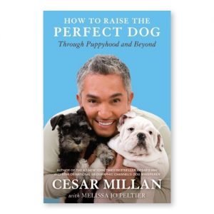 How To Raise The Perfect Dog - Cesar Millan