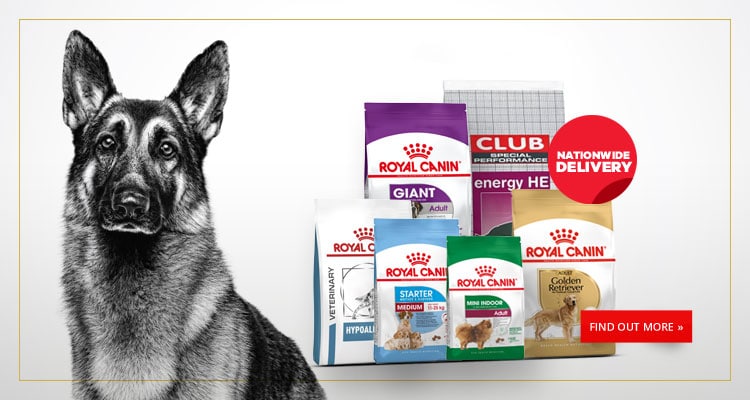 Buy A Dog Nigeria Home Banner-Royal Canin