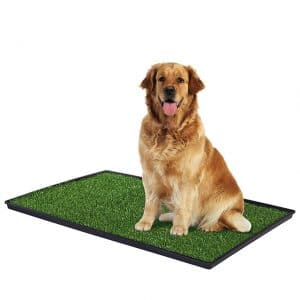 PH Prevue Tinkle Turf