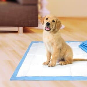 Four Paws Pet Select Dog Pee Pads take the mess out of housetraining! Each pad features a 5-ply system designed to stop leaks and keep the potty area clean. The quick-drying top layer prevents tracking, while the super-absorbent quilted core simultaneously provides maximum absorption. These dog training pads also feature a heavy duty leak-proof liner that helps protect floors and carpets, and a built-in attractant that draws your dog to use the pad. Ideal for both puppy training and stay-at-home adult dogs, these big dog pads provide 12 hours of protection. Make potty time clean and convenient with our all-in-one indoor dog training solution!