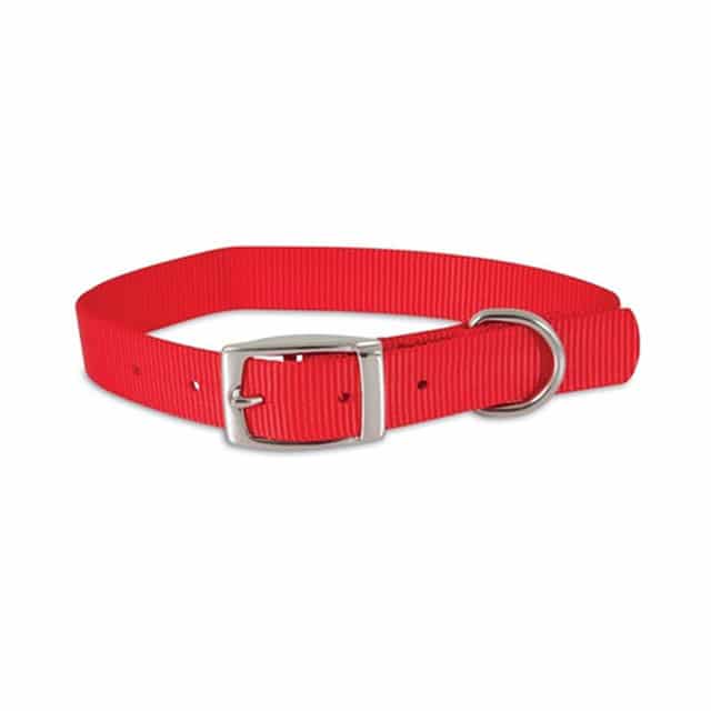 Petmate Nylon Dog Custom Fit Collar Red Buy A Dog Nigeria