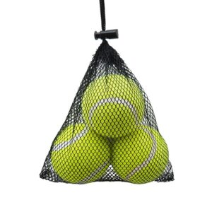 Rosewood Squeaky Tennis Balls 3pc