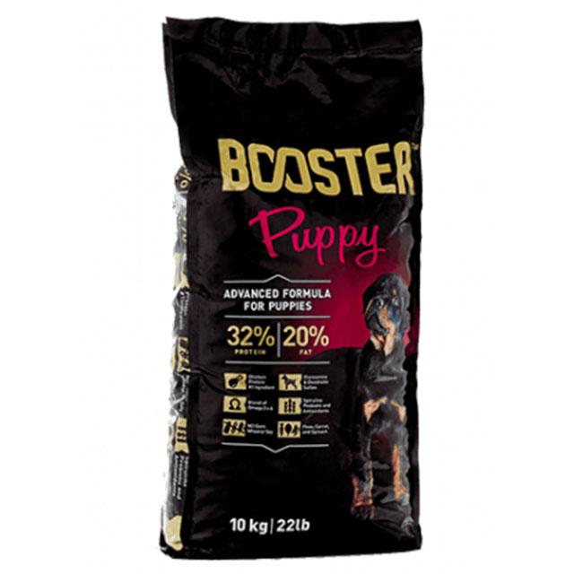 Booster Puppy