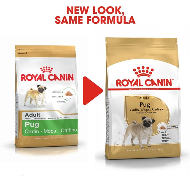 Royal Canin Pug Adult_1