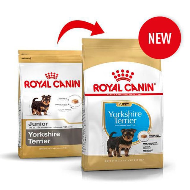 Royal Canin Yorkshire Terrier_1