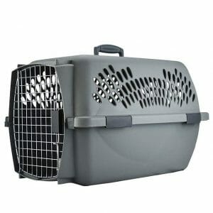 Aspenpet Pet Porter Heavy Duty Pet Carrier