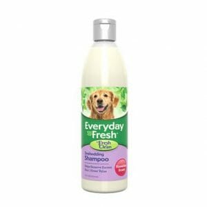 Everyday Fresh™ by Fresh ’n Clean® - Deshedding Shampoo