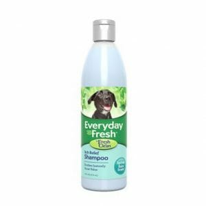 Everyday Fresh™ by Fresh ’n Clean® - Itch Relief Shampoo - Spring Rain Scent