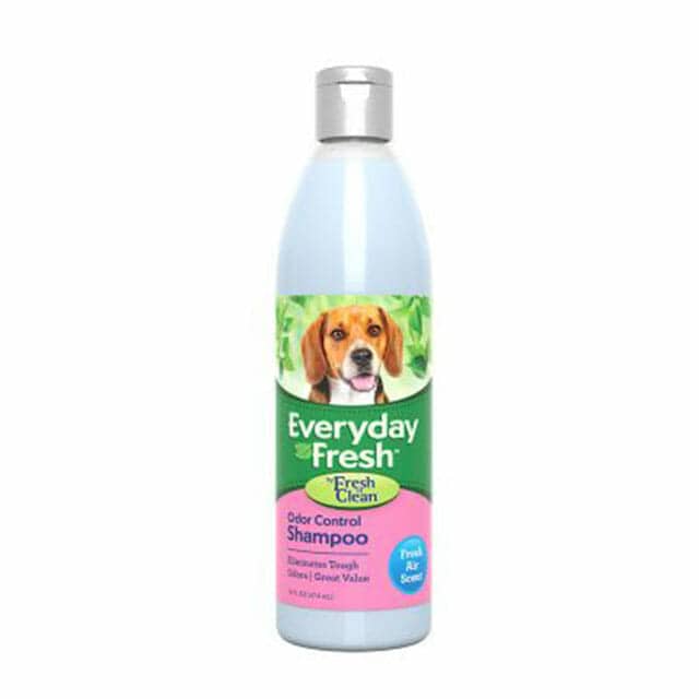 Everyday Fresh™ by Fresh ’n Clean® - Odor Control Shampoo - Fresh Air Scent