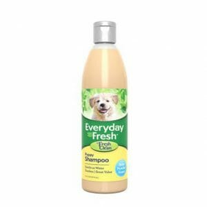 Everyday Fresh™ by Fresh ’n Clean® - Puppy Shampoo - Baby Powder Scent