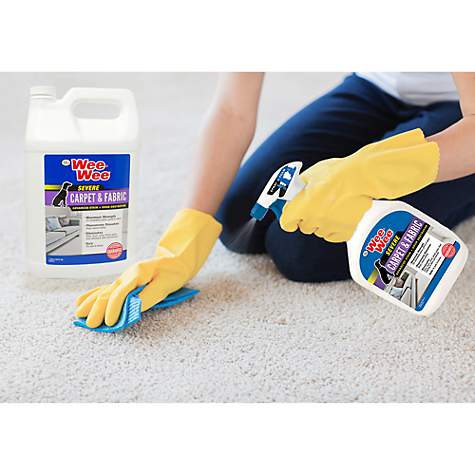 Four Paws Wee-Wee® Carpet and Fabric Stain and Odor Destroyer in use
