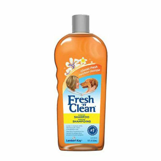 Fresh ’n Clean® Scented Shampoo - Classic Fresh Scent