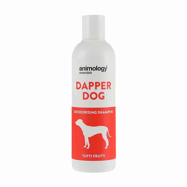 Essentials Dapper Dog Shampoo 250ml