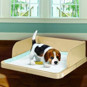 Four Paws Wee-Wee On Target Trainer