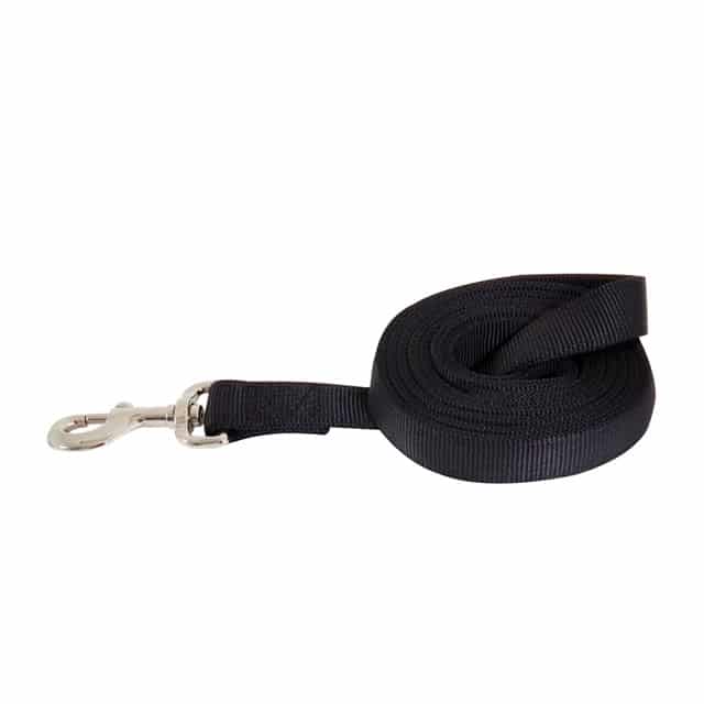 Aspen-Pet-Large-Grand-Leash_2