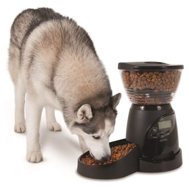 Aspen Pet LeBistro Portion Control Programmable Pet Feeder