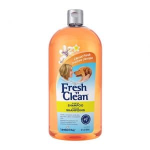 Fresh 'n Clean Scented Shampoo