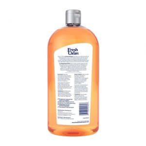 Fresh 'n Clean Scented Shampoo
