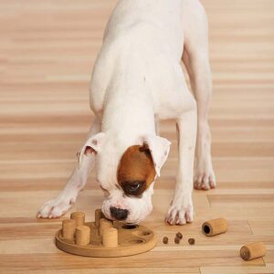Outward Hound (Nina Ottosson) Interactive Puzzle Game - Level 1
