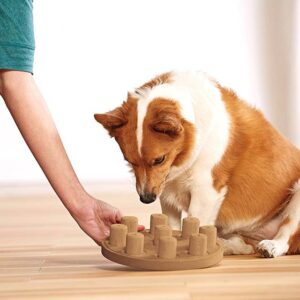 Outward Hound (Nina Ottosson) Interactive Puzzle Game - Level 1