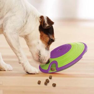 Outward Hound (Nina Ottosson) Treat Maze - Interactive Dog Toy (Level 2)