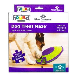 Outward Hound (Nina Ottosson) Treat Maze - Interactive Dog Toy (Level 2)