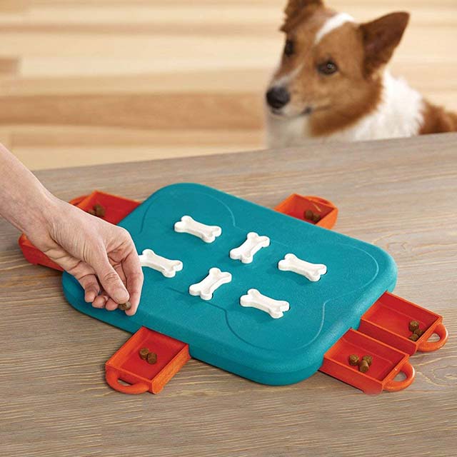 Outward Hound Nina Ottosson Dog Casino Advanced Puzzle Toy_5