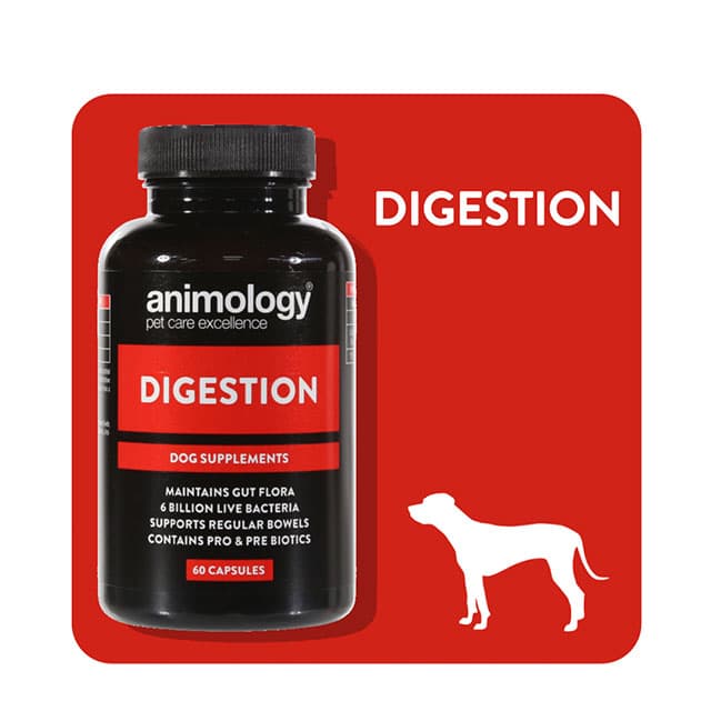 Animology Digestion Dog Supplement_4