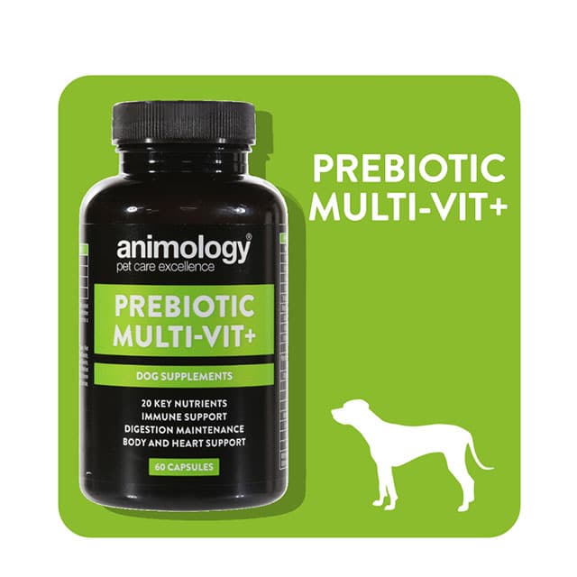 Animology Prebiotic Multi-Vit+ Dog Supplement_2