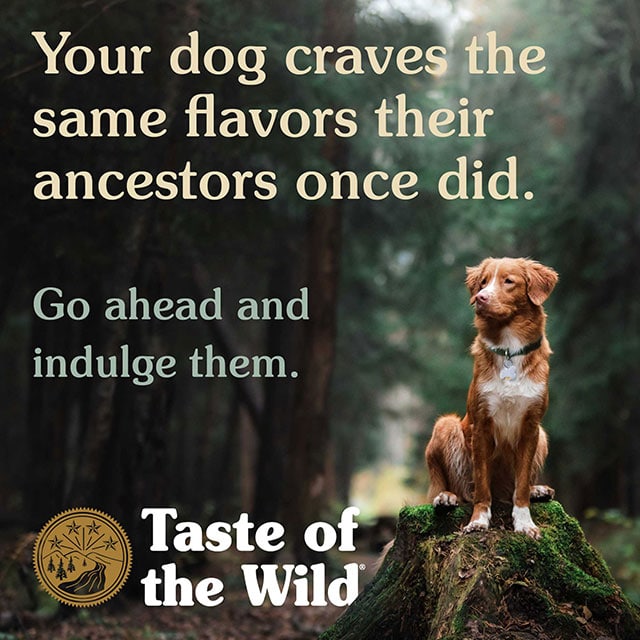 Taste Of The Wild