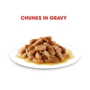 Royal Canin Medium Puppy Wet Food