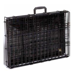 Prevue Pet Products Home On-The-Go Single Door Dog Crate X-Small E431