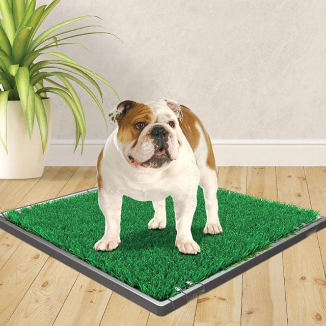 Four Paws Wee-Wee Premium Patch Indoor and Outdoor Pet Potty_3