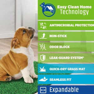 Four Paws Wee-Wee Premium Patch Indoor and Outdoor Pet Potty
