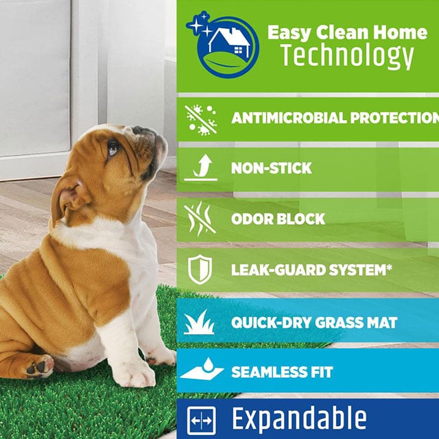 Four Paws Wee-Wee Premium Patch Indoor and Outdoor Pet Potty_4