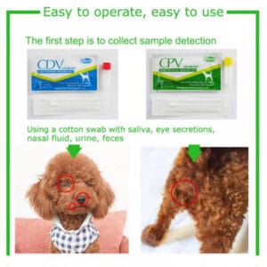 Canine Parvo Test Kit