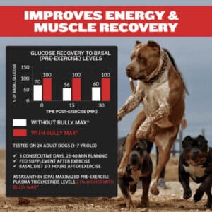 Bully Max 3-in-1 Liquid Muscle Builder