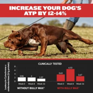 Bully Max 3-in-1 Liquid Muscle Builder