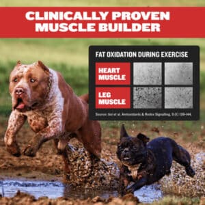 Bully Max 3-in-1 Liquid Muscle Builder
