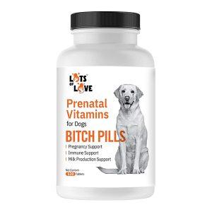 Thomas Labs Bitch Pills Prenatal Vitamins For Dogs