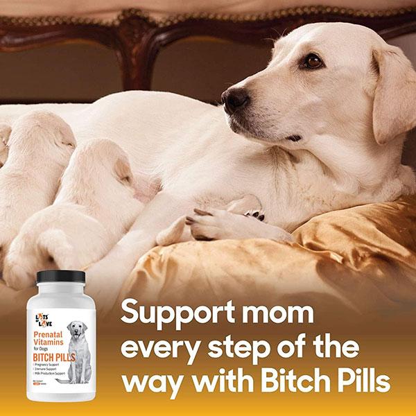 Thomas Labs Bitch Pills Prenatal Vitamins For Dogs