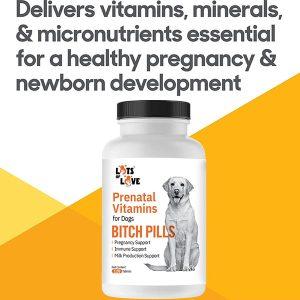 Thomas Labs Bitch Pills Prenatal Vitamins For Dogs