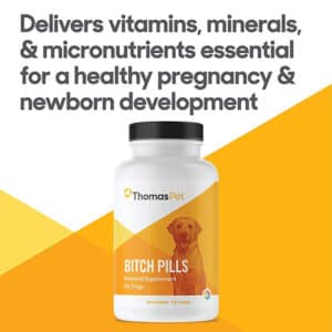 ThomasLabs Bitch Pills