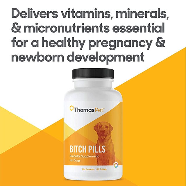 ThomasLabs Bitch Pills_3
